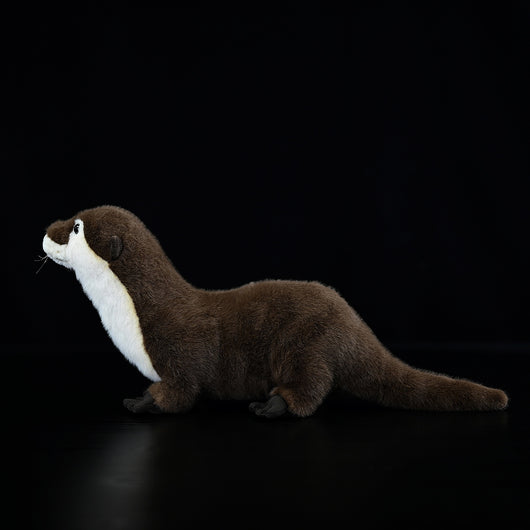 Peluche Nutria Adorable - Image 2