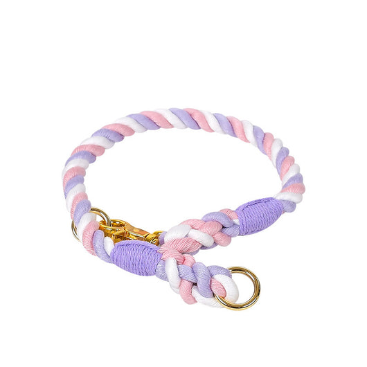 Collar Tipo P Ajustable para Perros Pequeños y Medianos - Image 8