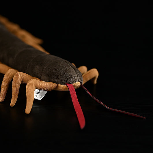 Peluches Suaves Para Todos - Image 3
