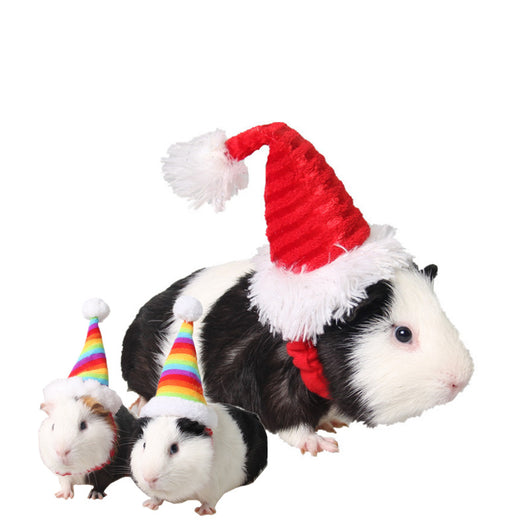 Gorro Navideño Rojo para Erizo con Correas de Franela - Image 13