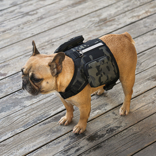 Mochila Portátil Multifunción para Mascotas con Correa - Image 9