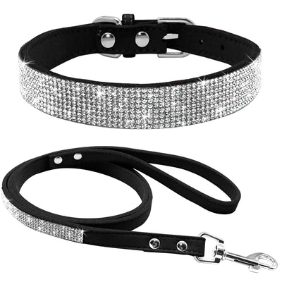 Collar para Perro Estilo Hot Dog - Image 20