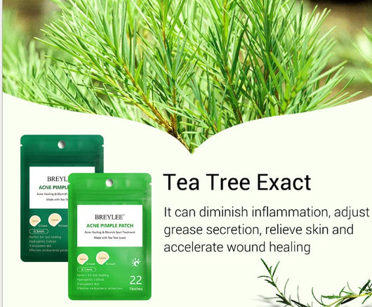 Parches de Árbol de Té para Acné - Ultra Delgados que Desvanecen Marcas - Image 7