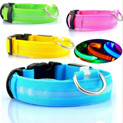 Collar LED de Seguridad para Perros - Image 3
