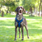 Chaleco Reflectante Transpirable para Perro con Cuerda