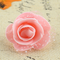 Rosa Carne 1