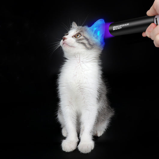 Lámpara de Musgo LED con Cargador USB y Detector de Billetes Falsos - Image 9
