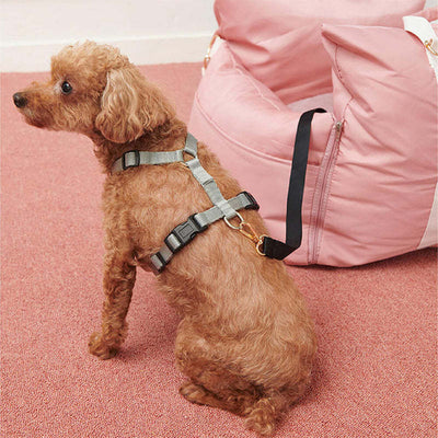 Transportín para Mascotas Impermeable Antideslizante Desmontable - Image 30