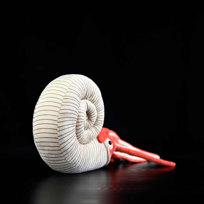 Peluches de la Serie Paleontología: Amonitas Coleccionables - Image 14