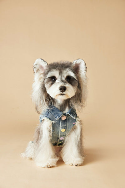Chaleco Denim sin Mangas con Bordado Schnauzer Maltés Teddy - Image 20