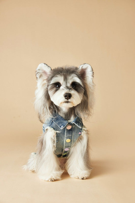 Chaleco Denim sin Mangas con Bordado Schnauzer Maltés Teddy - Image 20