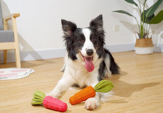 Juguete Masticable para Mascotas Zanahoria Resistente con Sonido - Image 10