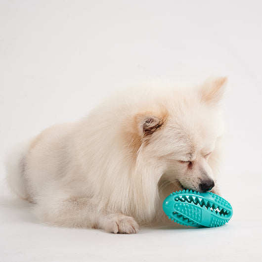 Pelota Interactiva Comedero para Perros - Juguete Dispensador de Alimento con Textura Masticable - Image 7