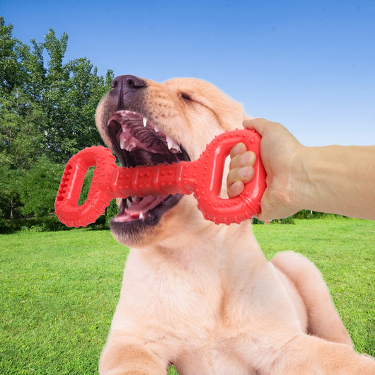 Hueso Masticable Resistente para Perros Agresivos con Banda Interactiva - Image 3
