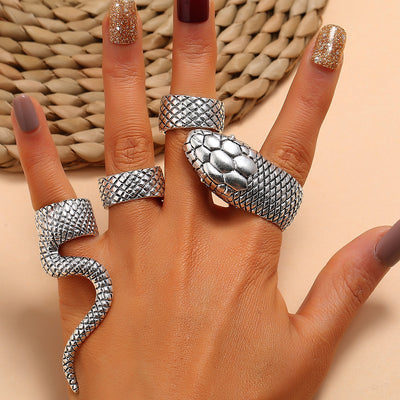 Juego de Anillos Articulados Versátiles - Image 17