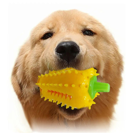 Juguete Interactivo para Dentición de Perros con Diseño de Chile - Image 16