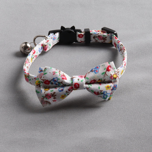 Collar Felino Idílico - Image 24