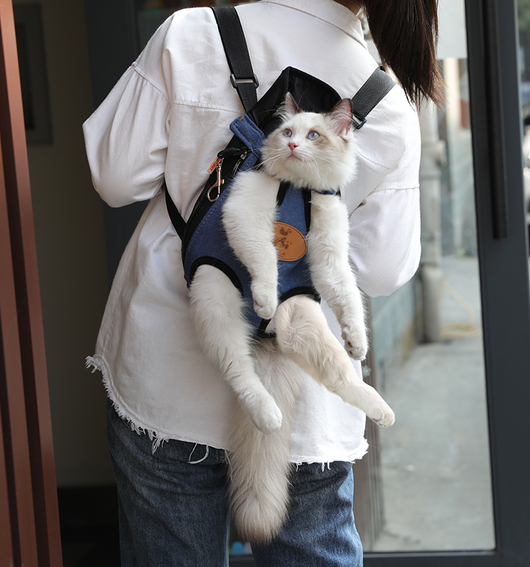 Beige quilted pet carrier backpack with black adjustable straps, featuring leg and tail openings for small cats or dogs. - Image 3