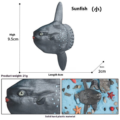 Juego Educativo de Animales Marinos Realistas para Niños - Image 72