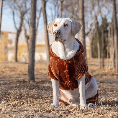 Ropa para Perros Grandes - Colección Año Completo Talla Mediana-Grande - Image 15