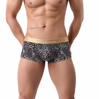 Bóxers Estampado Leopardo Dorado para Hombre - Image 9