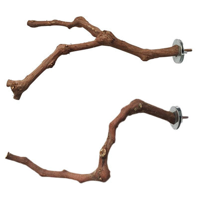 Natural grape wood bird perch with a unique curved branch shape and metal attachment for cage installation.