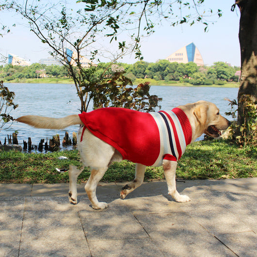 Suéter Cálido de Algodón para Perros - Abrigo Otoño e Invierno - Image 12