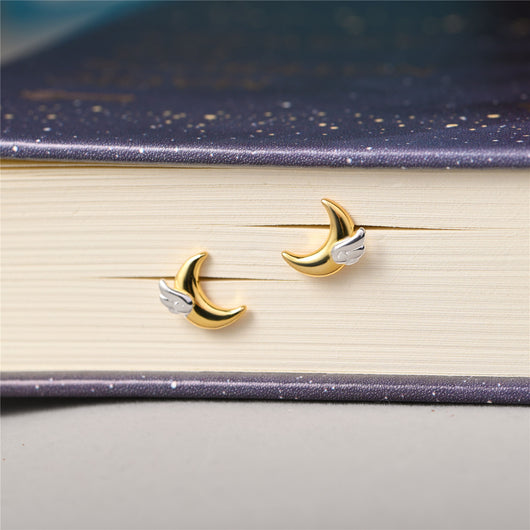 Aretes de Plata 925 Alas de Luna - Sueños Hechos Realidad - Image 5