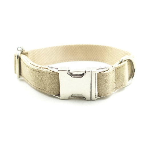 Collar de Tracción para Perros - Image 7
