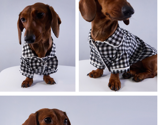 Pijamas Estilo Británico para Perros y Gatos - Image 5