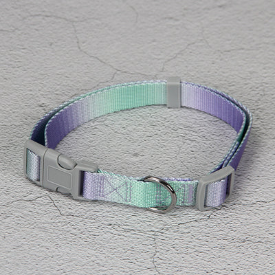 Juego de Correa para Perro Degradado Multicolor - Image 9