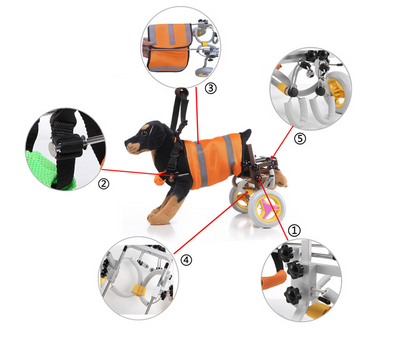 Silla de Ruedas para Perros - Scooter de Movilidad Canina - Image 10