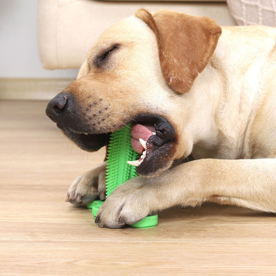 Cepillo Dental Interactivo con Ventosa para Perros - Image 2