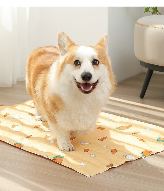 Colchoneta Refrescante de Gel para Perros - Impermeable y Duradera - Image 17