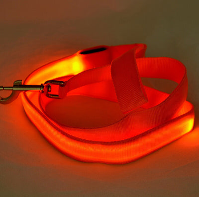 Correa LED Luminosa para Perros - Paseos Seguros de Noche - Image 17