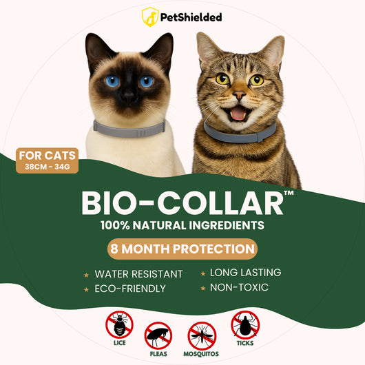 Collar Antiparasitario Ajustable para Perros y Gatos - Image 16