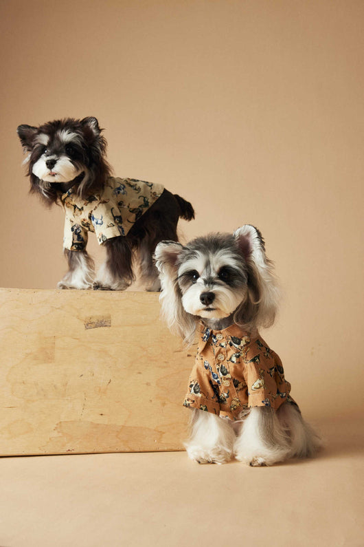 Playera Estampada con Razas de Perros - Dachshund, Schnauzer, Bichón y Maltés - Image 18