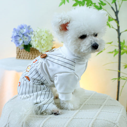 Mono de una Capa para Perros - Ropa Cómoda y Protectora - Image 8