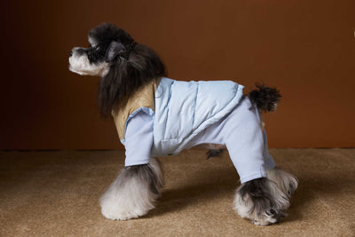 Chaleco Acolchado de Invierno para Perros Pequeños - Teddy, Schnauzer, Bichón - Image 5