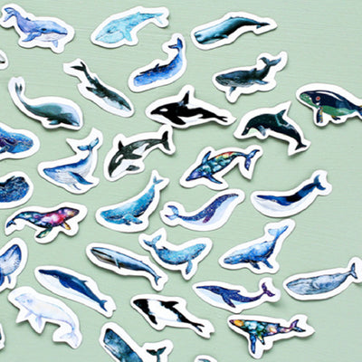 Box of 'Lifelog sticker' whale stickers with various blue whale designs scattered on a light blue plate.