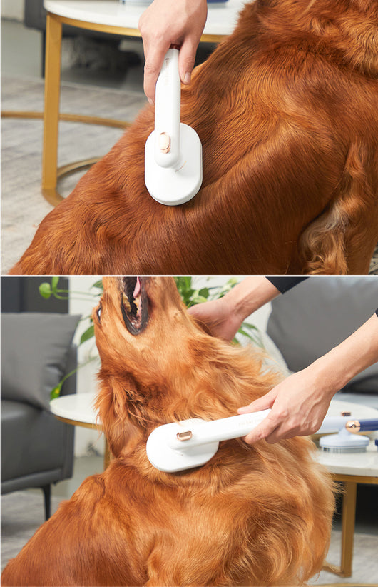 Peine Deslanador para Perros y Gatos - Cepillo Removedor de Pelo Flotante - Image 21