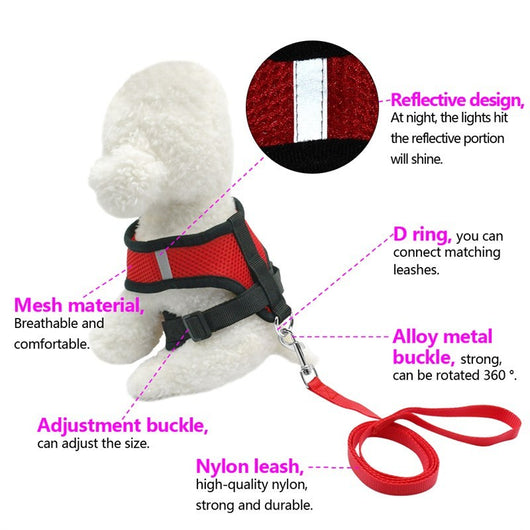 Arnés de Seguridad para Mascotas en Auto - Image 4