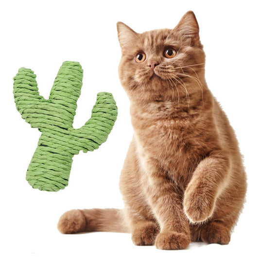 Juguete para Gatos Cuerda de Papel Cactus Verde - Image 2