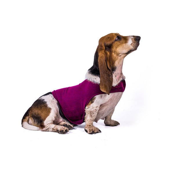 Ropa de Confort para Ansiedad en Perros