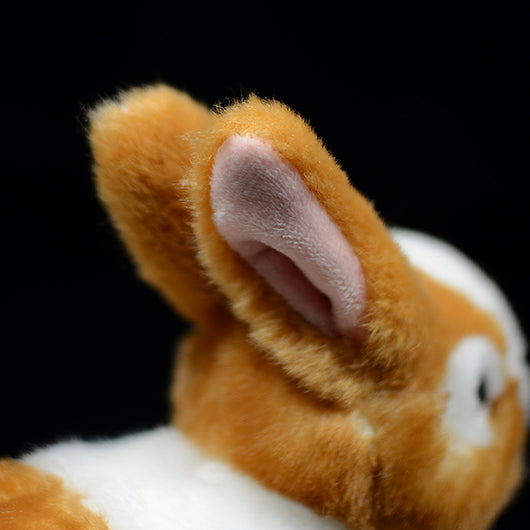 Peluche Adorable Conejo Holandés - Image 13