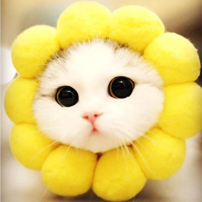 Gorro Divertido para Gatos - Accesorio Cálido y Adorable