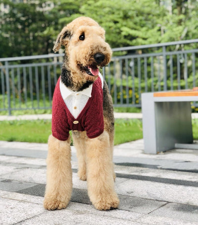 Cardigan Falso Doble para Perros Grandes - Image 15