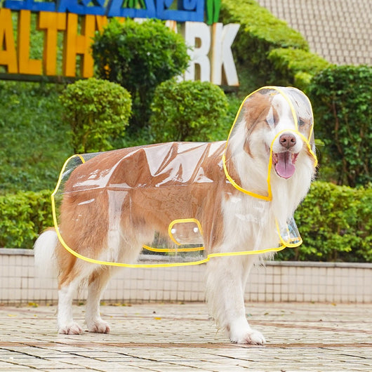 Impermeable Transparente para Perros Pequeños y Medianos con Capucha - Image 6