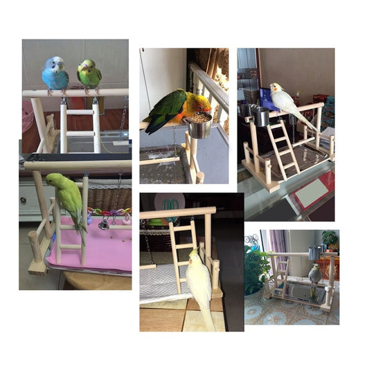 Wooden parrot play stand with perches, ladder, stainless steel food cups, and hanging bells, featuring a lovebird. - Image 4