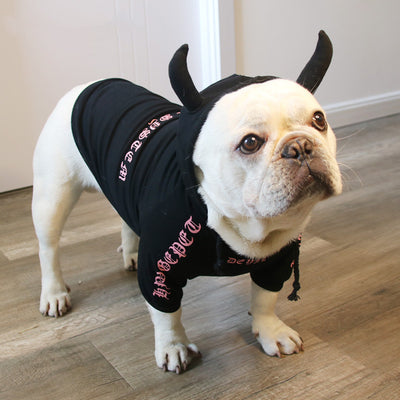 Suéter Polar Disfraz Halloween para Mascotas - Image 4